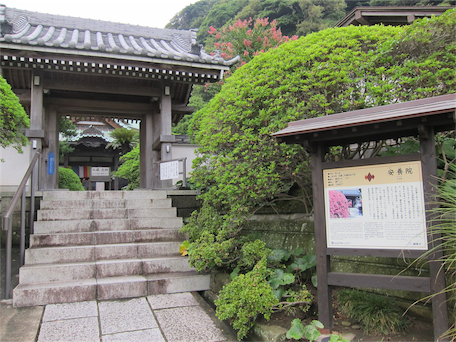 08.24 鎌倉－安養院－黑澤明 1