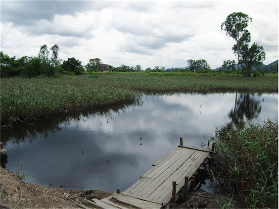 10.04 殺破狼 南生圍