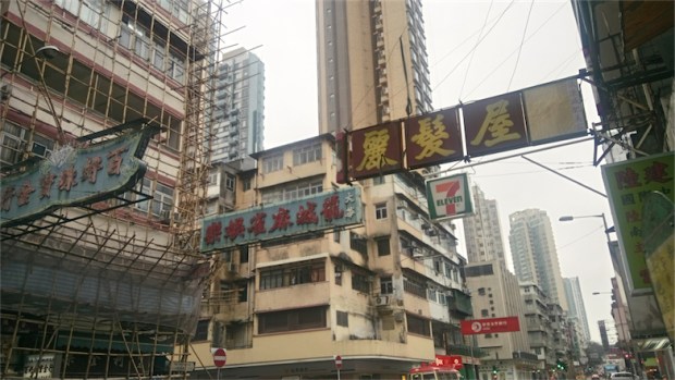 33.03 樹大招風－衙前圍道 1