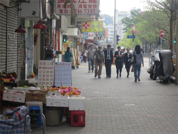 33.04 樹大招風－賈炳達道 1