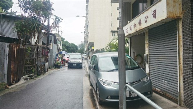 33.12 樹大招風－茶果嶺 1