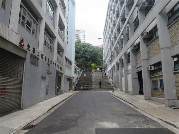 34.05 選老頂－活道 1