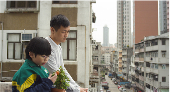 12.13 九龍城獅子石道-一念無明