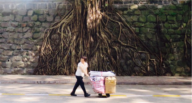 38.01 幸運是我－堅尼地城科士街石牆樹 a