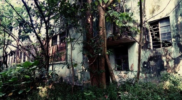 螢幕快照 2019-01-11 下午4.41.13