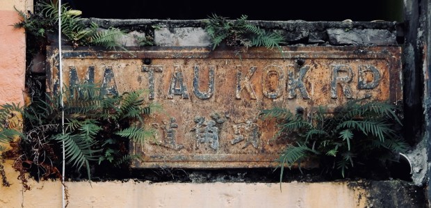 2019.06.02 土瓜灣 紅磡 95